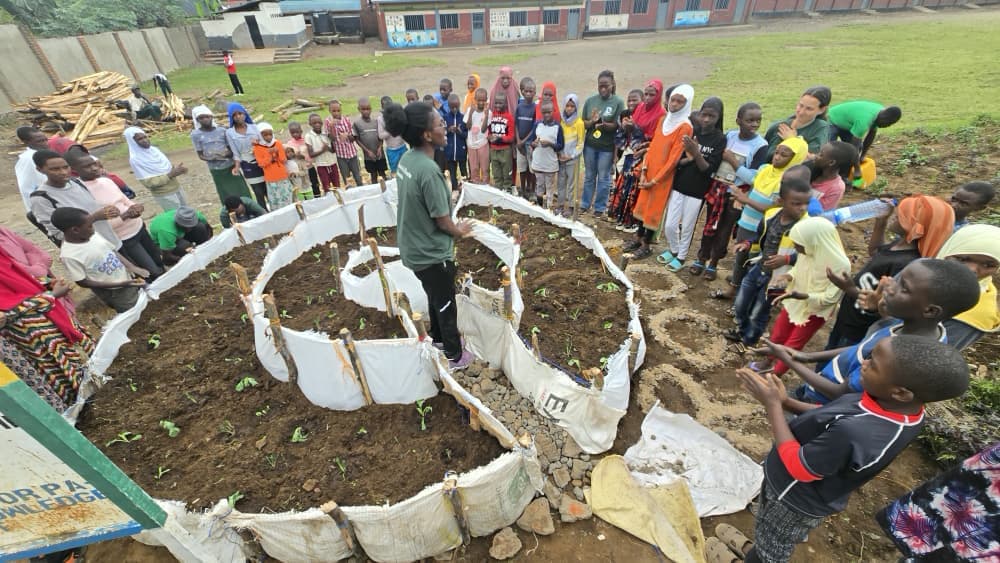 Kitchen garden activity with students