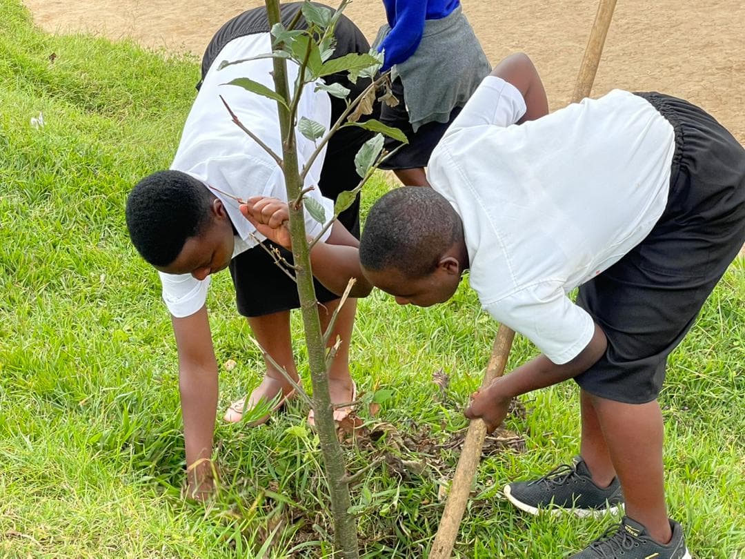 Tree planting and sustainability discussion
