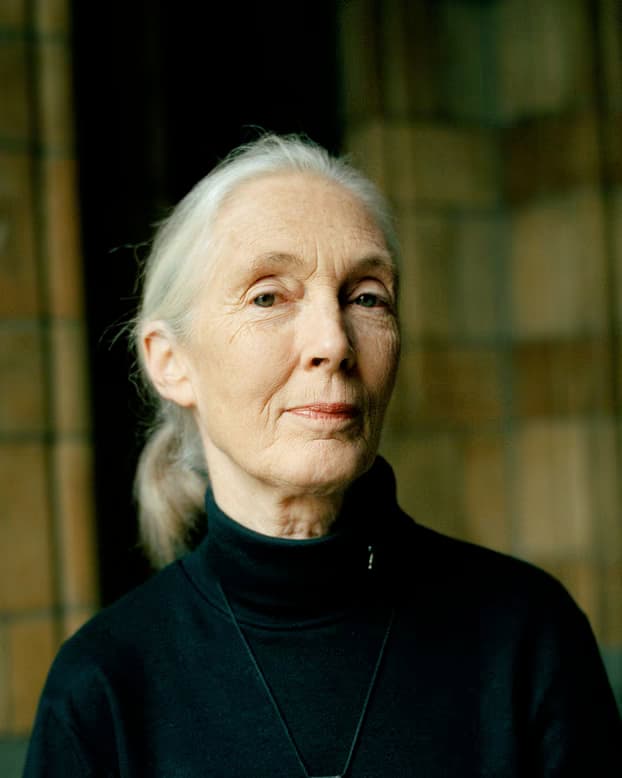 Dr. Jane Goodall