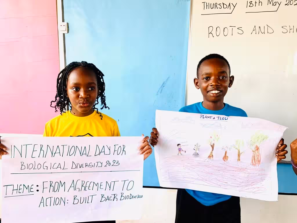 Biodiversity illustration