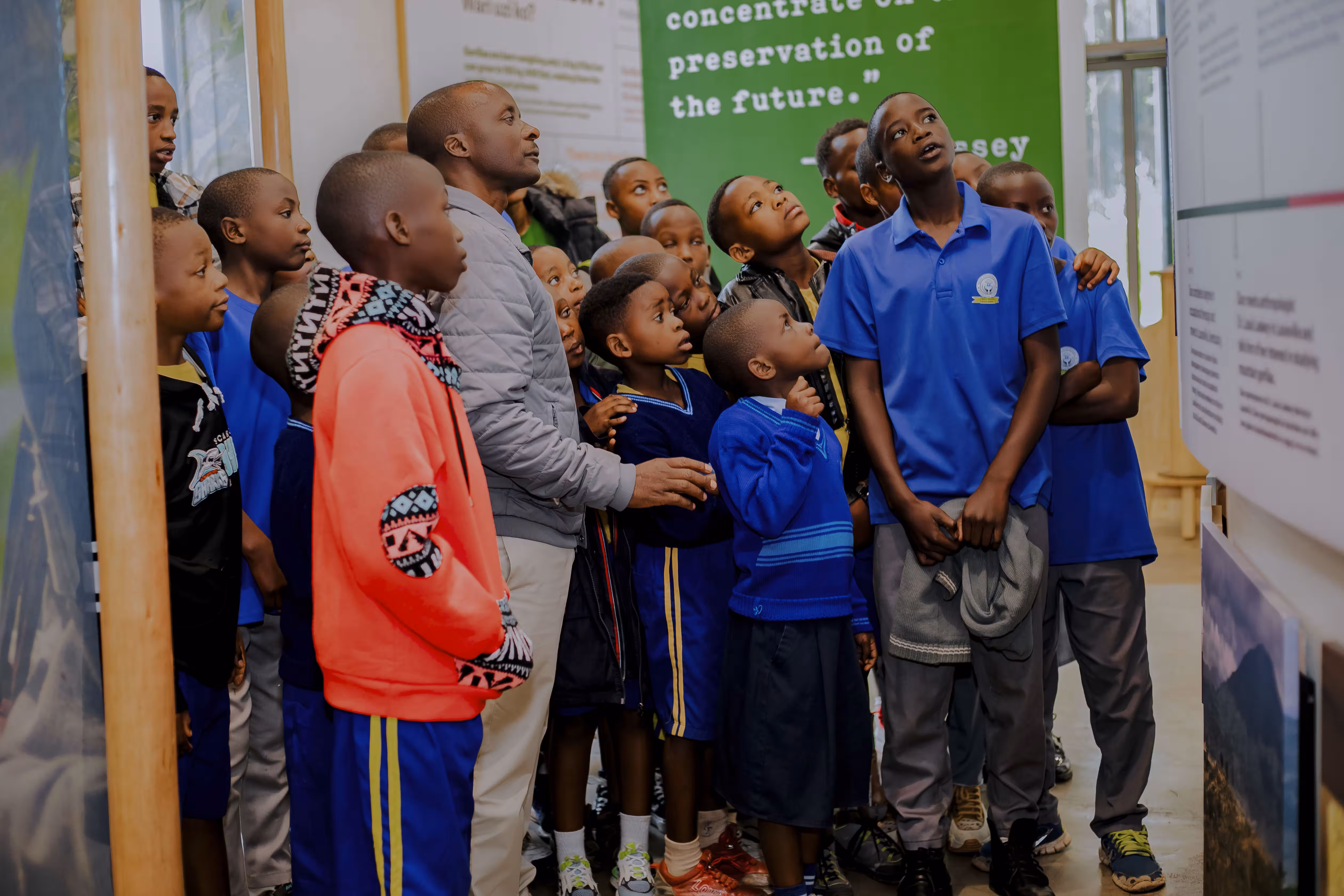 Gorilla conservation learning