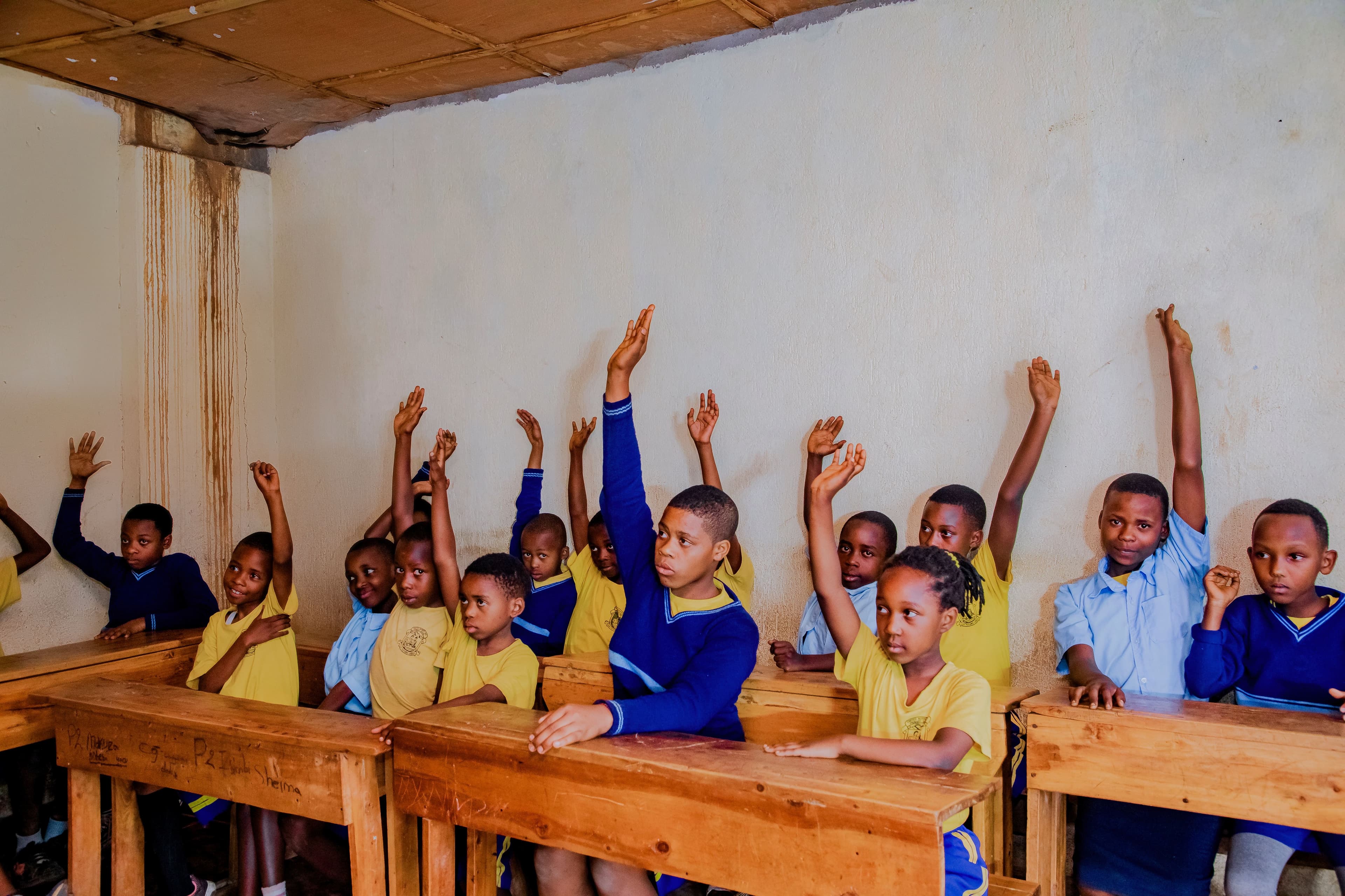 Education & Awareness